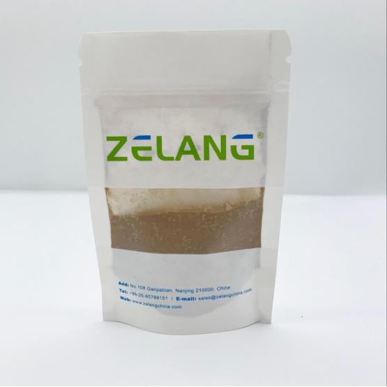 natural Dandelion extract powder