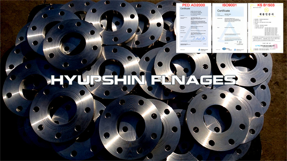 Hyupshin Flanges Jis Ksb1503 5k 10k Flange Ff