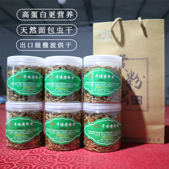 Mealworm Protein In Powder
