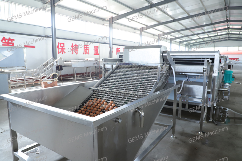 Equipments For Hard Boiled And Peeled Eggs Processing
