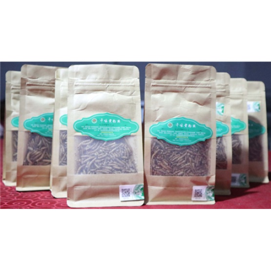 Chicken Wild Birds And Fish Feed Dried Mealworms