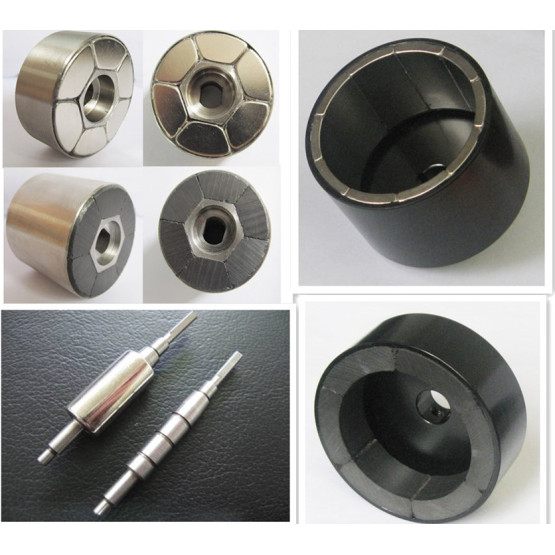 Custom Neodymium Magnetic Assembly for fan motor