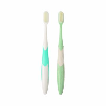 Macarons Color OEM Toothbrush with Small Head