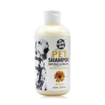 Natural Ingredient Moisturizing 250ml Pet Bottle Shampoo