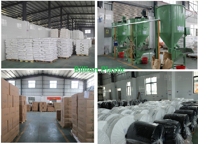 Plastic Bag Warehouse