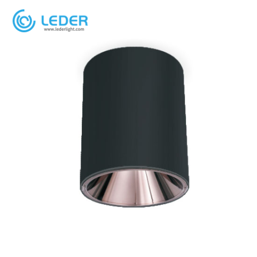 LEDER Modern Cylindrical 20W LED Downlight