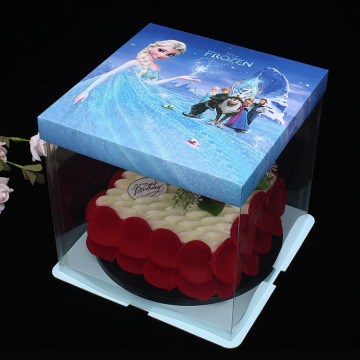 Plastic tall cake box