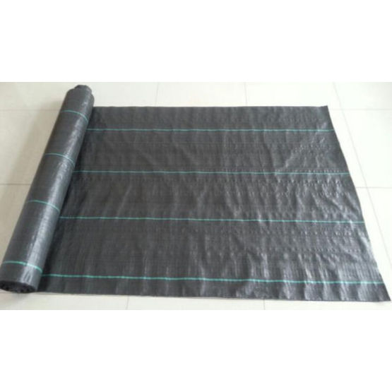 PP Woven Geotextile Fabric with Competitive Prices