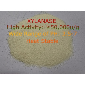 HIGHLY EFFICIENT XYLANASE