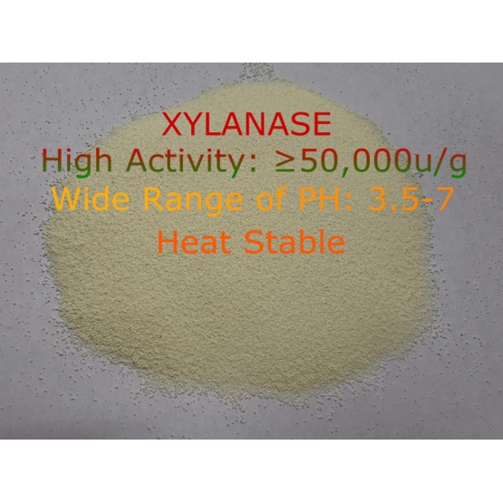 HIGH ACTIVITY XYLANASE GRANULAR/POWDER