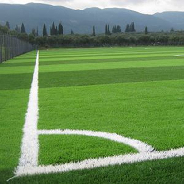 Professional S Shape Soccer Synthetic Grass Mat