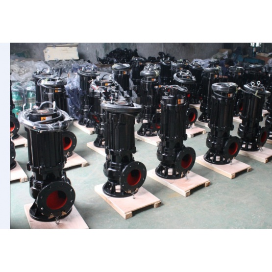 QW (WQ) YW LW GW sewage pump