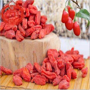 The Super Food Nutrition Dried Goji Berry