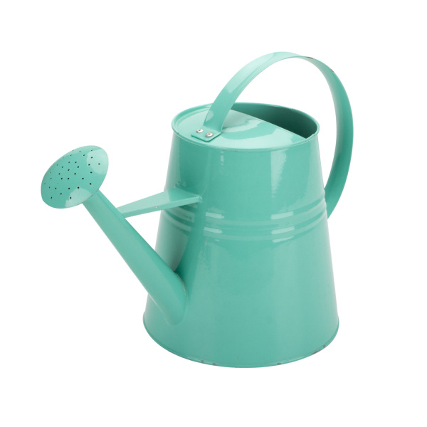Small Galvanized Watering Can Ikea