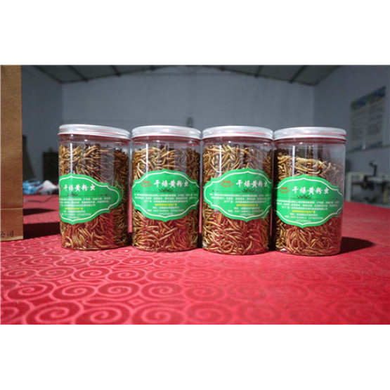 Fish Food Dried Tenebrio Molitor with High Protein