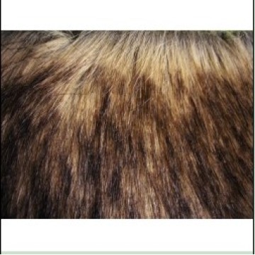 Long Hair Faux Fur