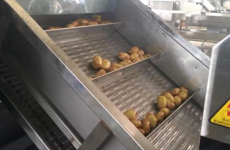 Potato Washing1