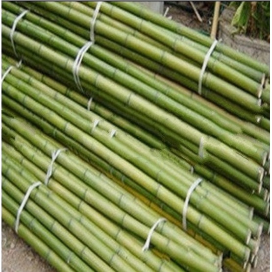Environmental protection bamboo pole