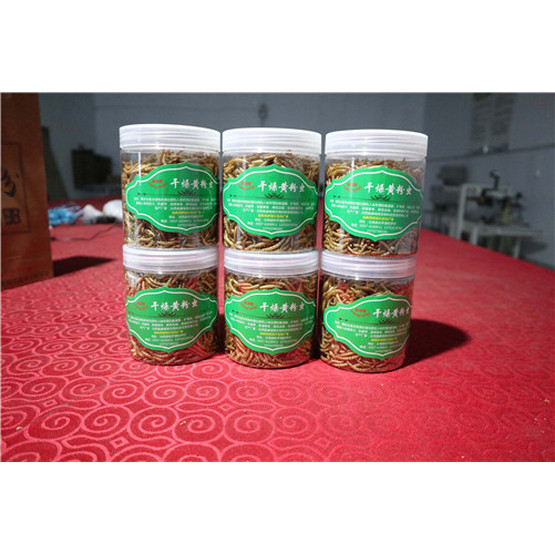100% Pure Natural Reptile Dried Tenebrio Molitors Feed