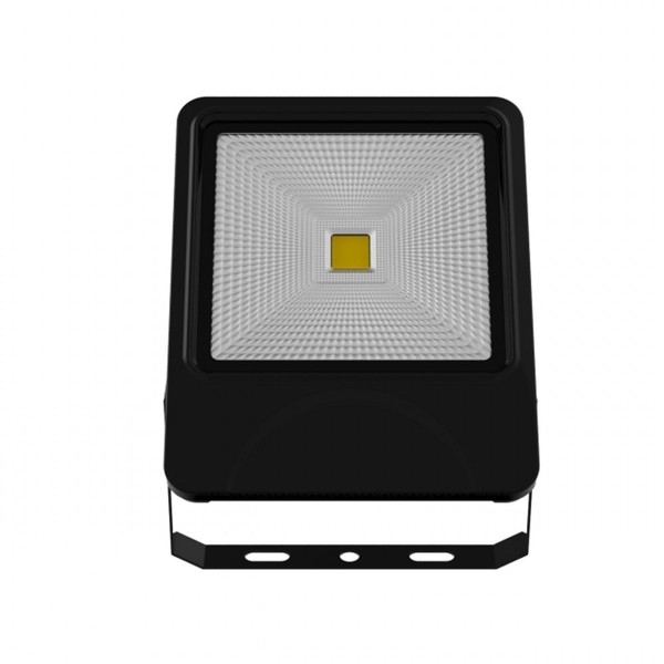 Private Mould 50W COB Outdoor LED Flood Light