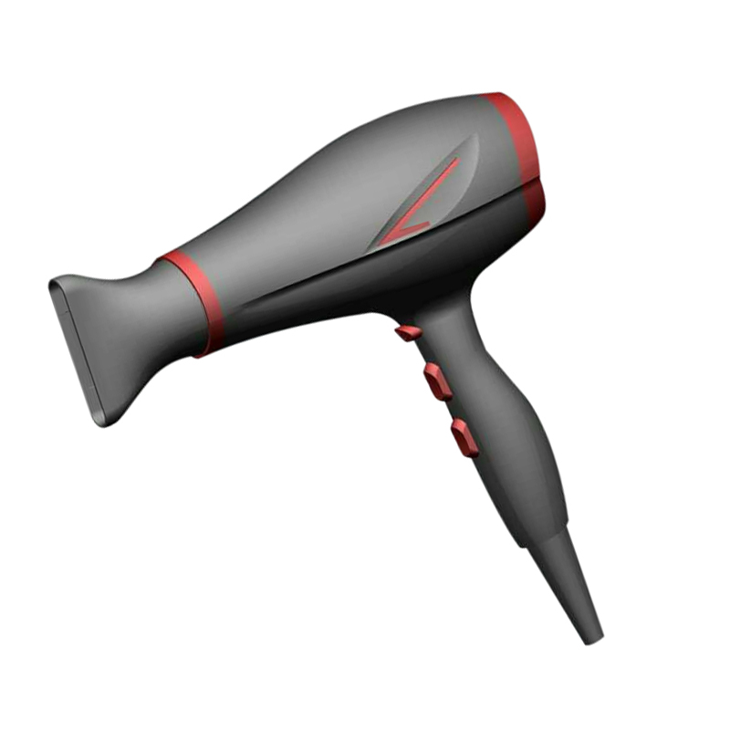 Professional Ionic Hair Dryer