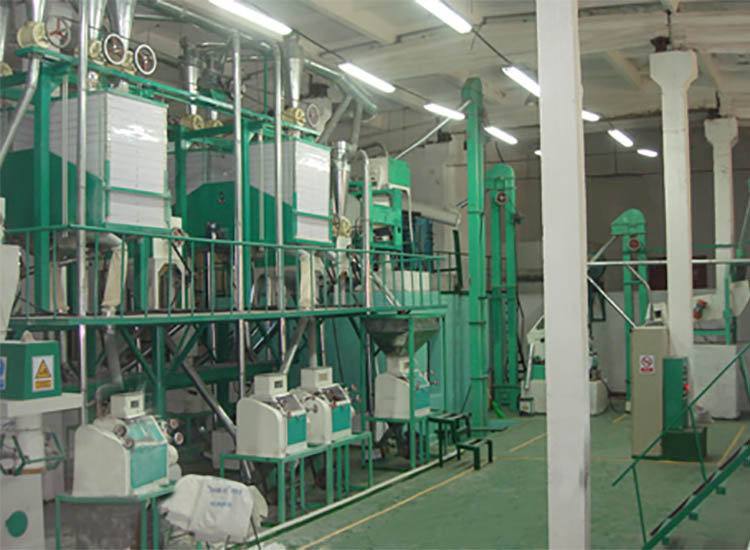 30t-50t flour mill