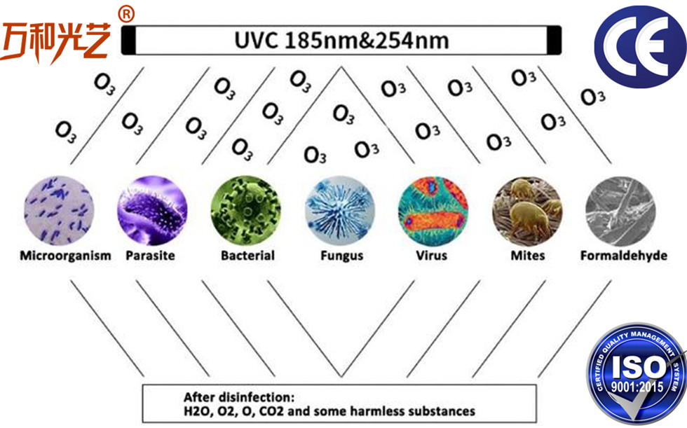 UV Disinfection Tube Light