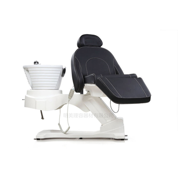 Luxury Hair Wash Electric Shampoo Chair