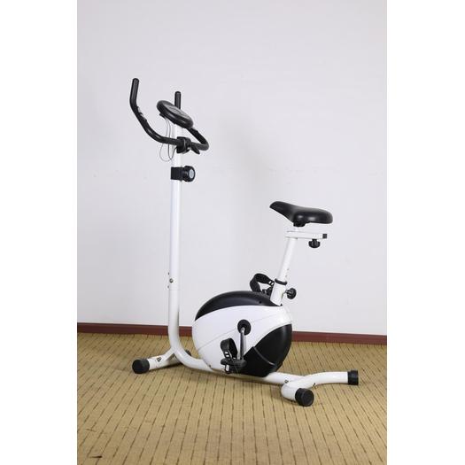 Home Use Indoor Magnetic Exercise Bike