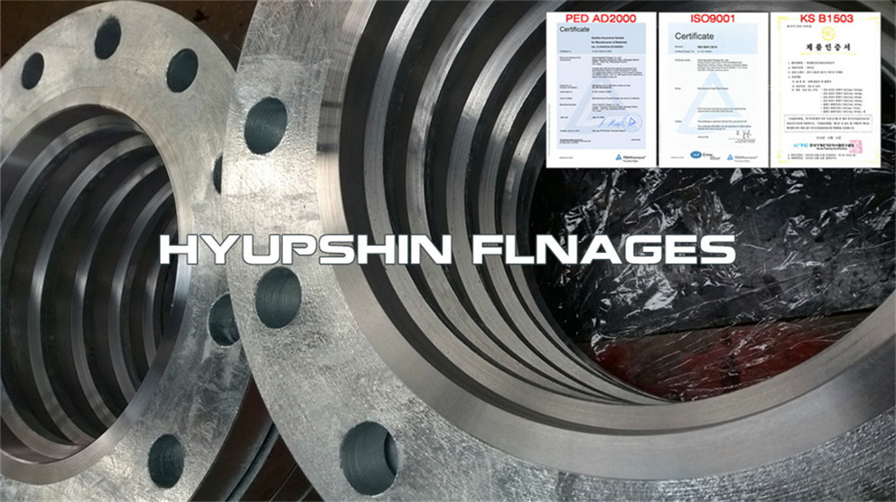 Hyupshin Flanges Backing Ring Hot Dip Galvanized Hdpe Pipe Zinc