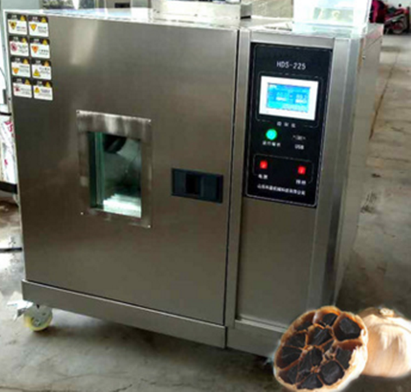 black garlic machine