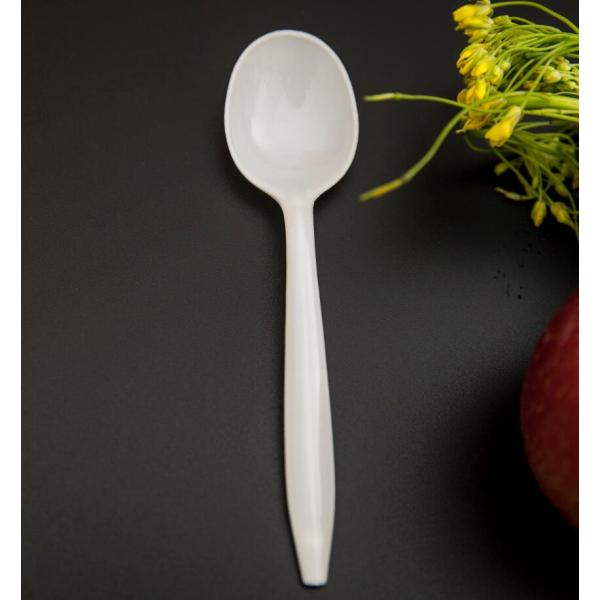 Food Grade Plastic Spoon