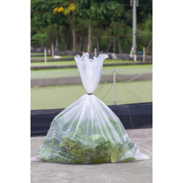 Disposable Fresh Food Storage Plastic Flat Bag