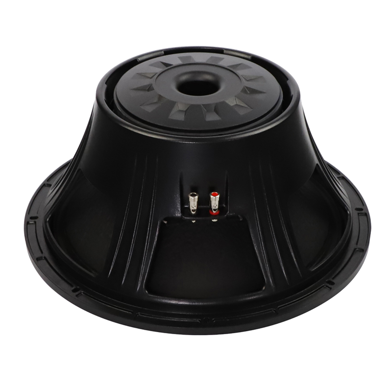 18inch Party Stage Concert Opera Speaker