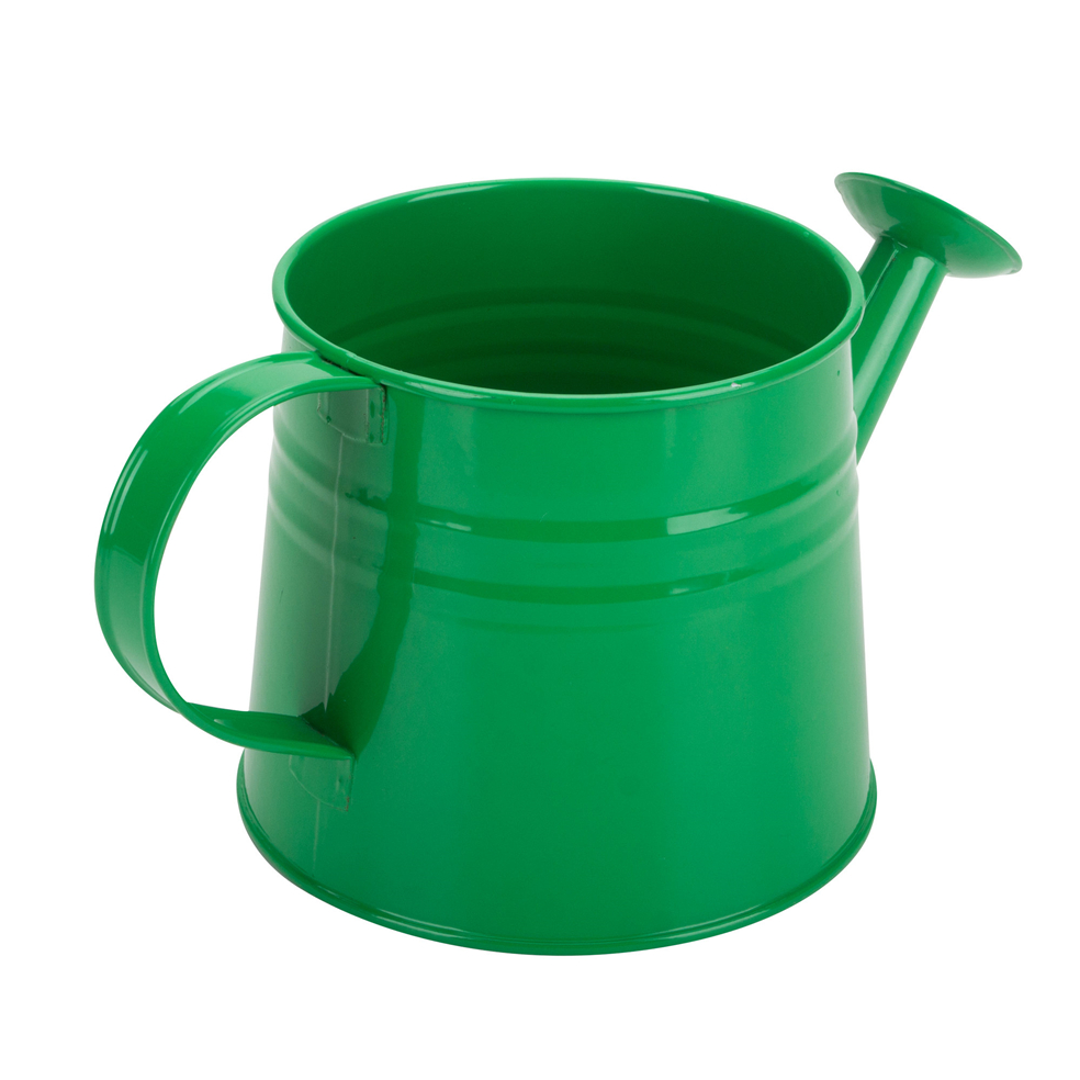 Flower Watering Can