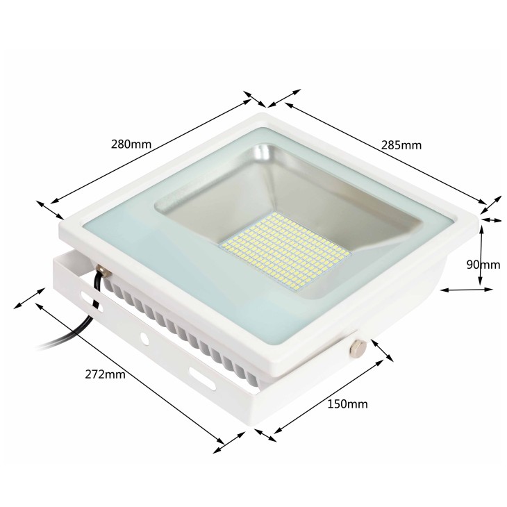 100W Flood Light