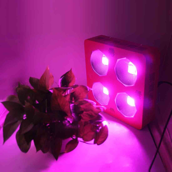 300W Full Spectrum LED Plant Light for Indoor Growing