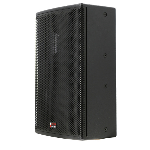 PRO 12 Professional Speaker