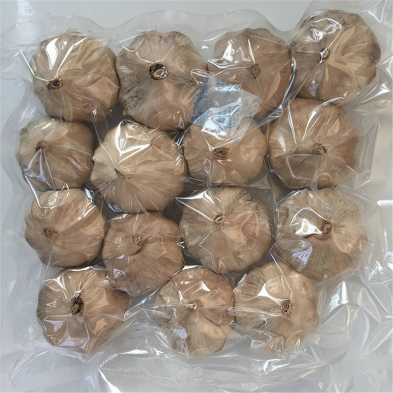 Multi Black Garlic 051