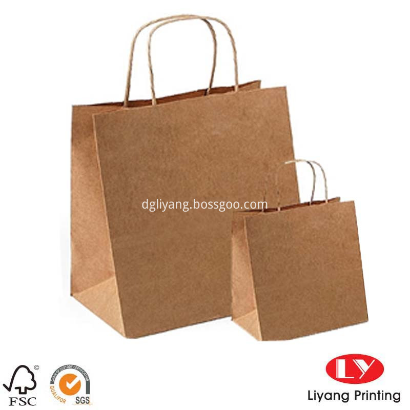 Brown paper bags 032613