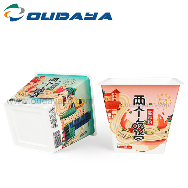 square plastic frozen ice cream box with lid