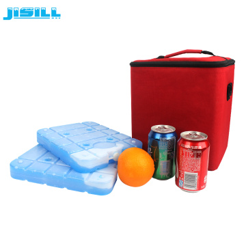 Large food grade reusable ice pack for cold chain transport