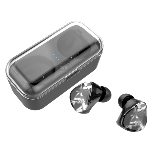 TWS Bluetooth in-Ear Earbuds with Charging Case