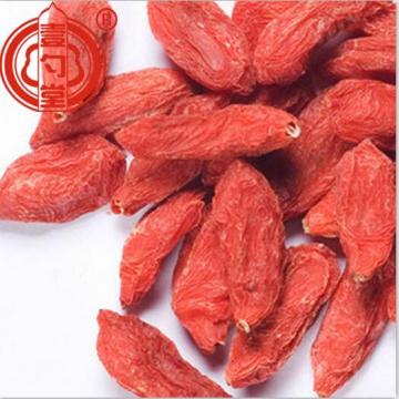 The Dried Red Goji Berries Fruit