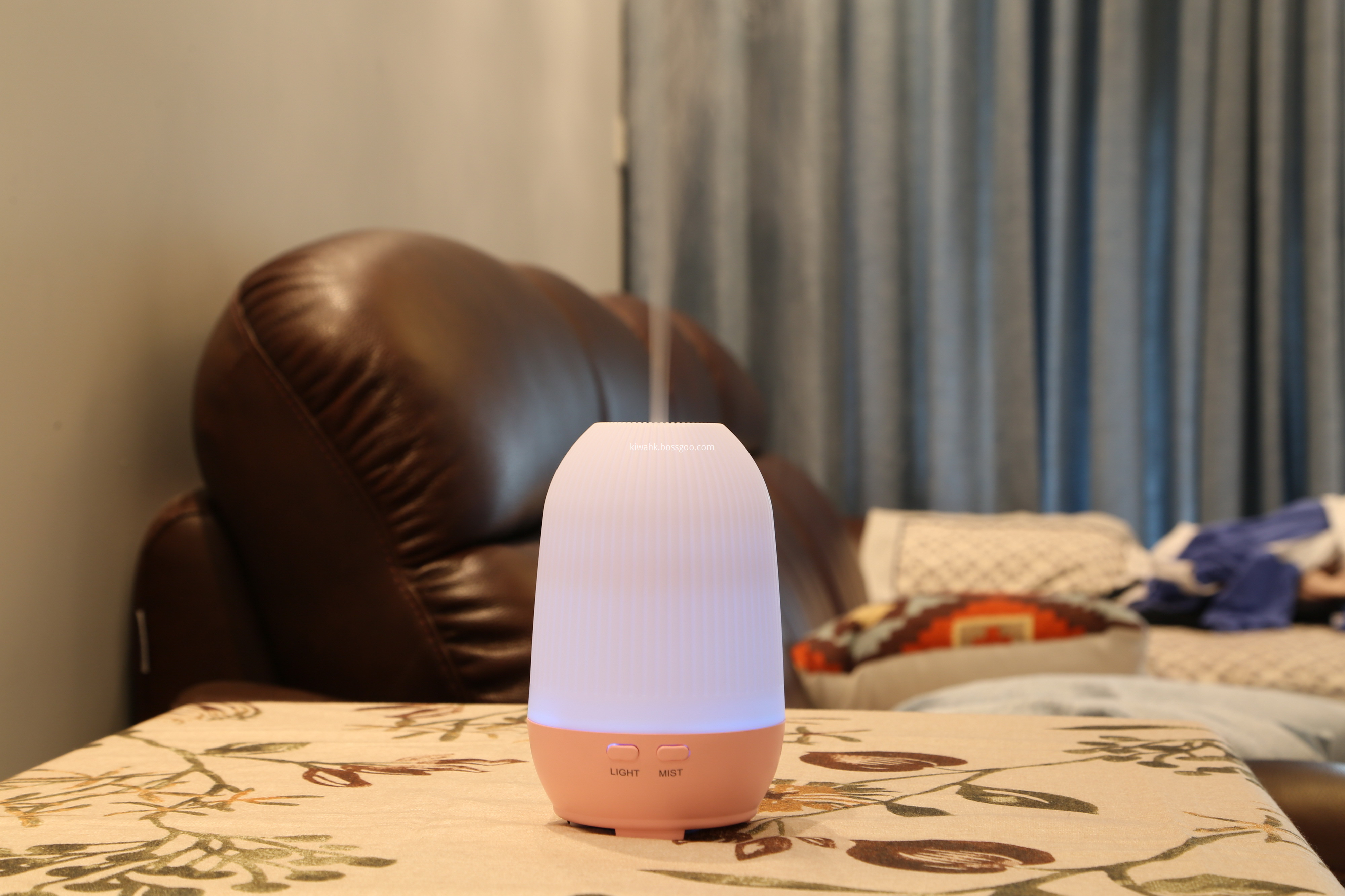 Aromatherapy Fragrance Diffuser Humidifier