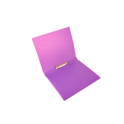 A4 size 2 ring file
