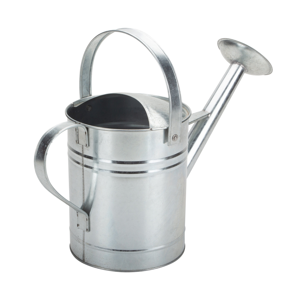 Watering Can Amazon