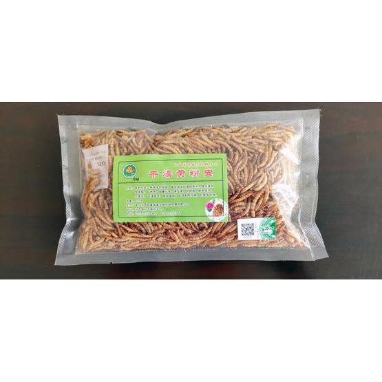 mealworm for pet parrot