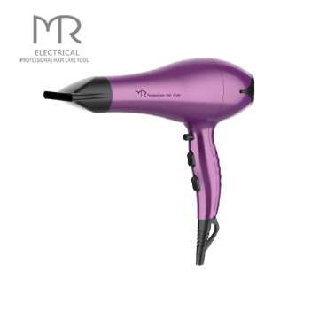 Professional High Power Hair Dryer With Over Heating Protection