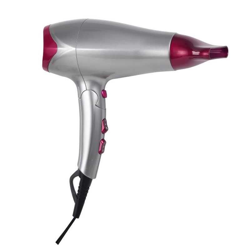 Round Brush Hair Dryer